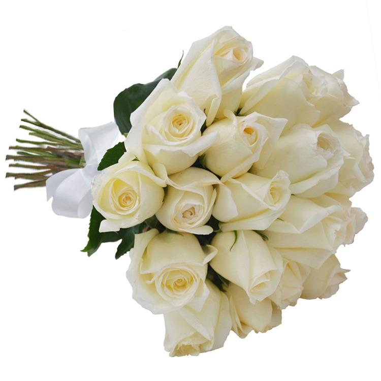 Little Angel Rose product558